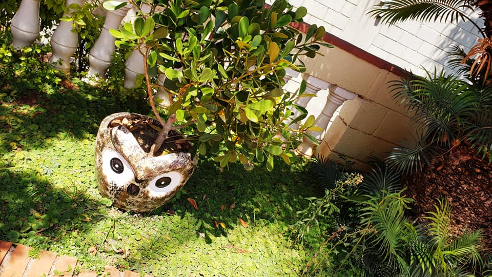 ChoppRampim ChoppRampim